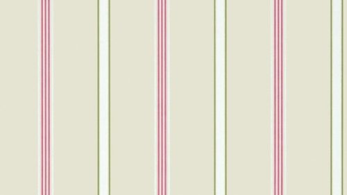 Dawson Stripe Pink-Green AT6141
